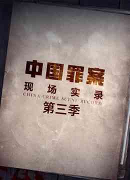 《罪案现场实录 第三季》免费在线播放｜纪录·大陆